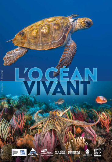 L’Océan Vivant : une exposition inédite pour sensibiliser à la préservation de notre biodiversité marine