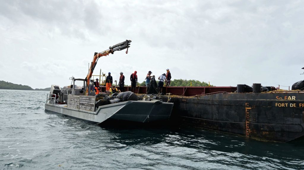 renforcement des mesures face à échouage de sargasses en Martinique