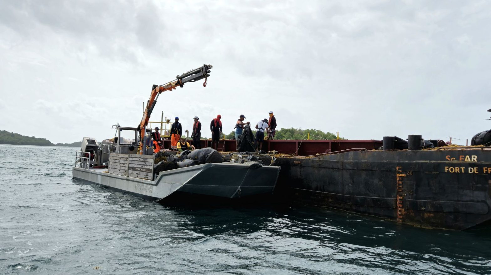 renforcement des mesures face à échouage de sargasses en Martinique
