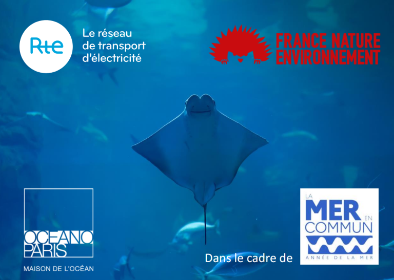 Une mobilisation collective pour la protection de l’océan
