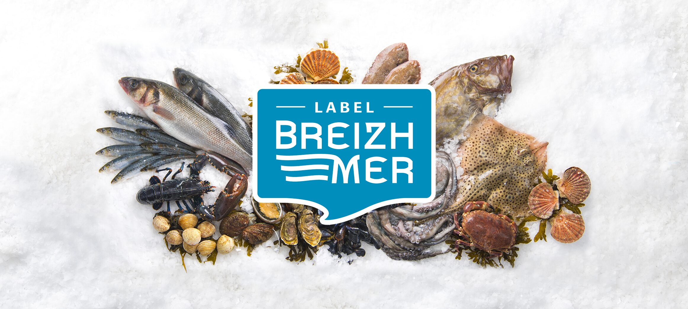 Breizhmer : faire face à la marée des importations 