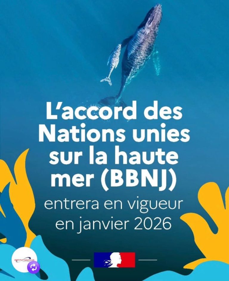 Accord BBNJ : Un tournant pour la protection des océans