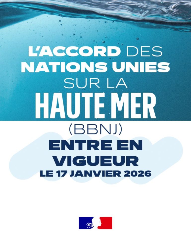 BBNJ : un tournant pour la protection des océans