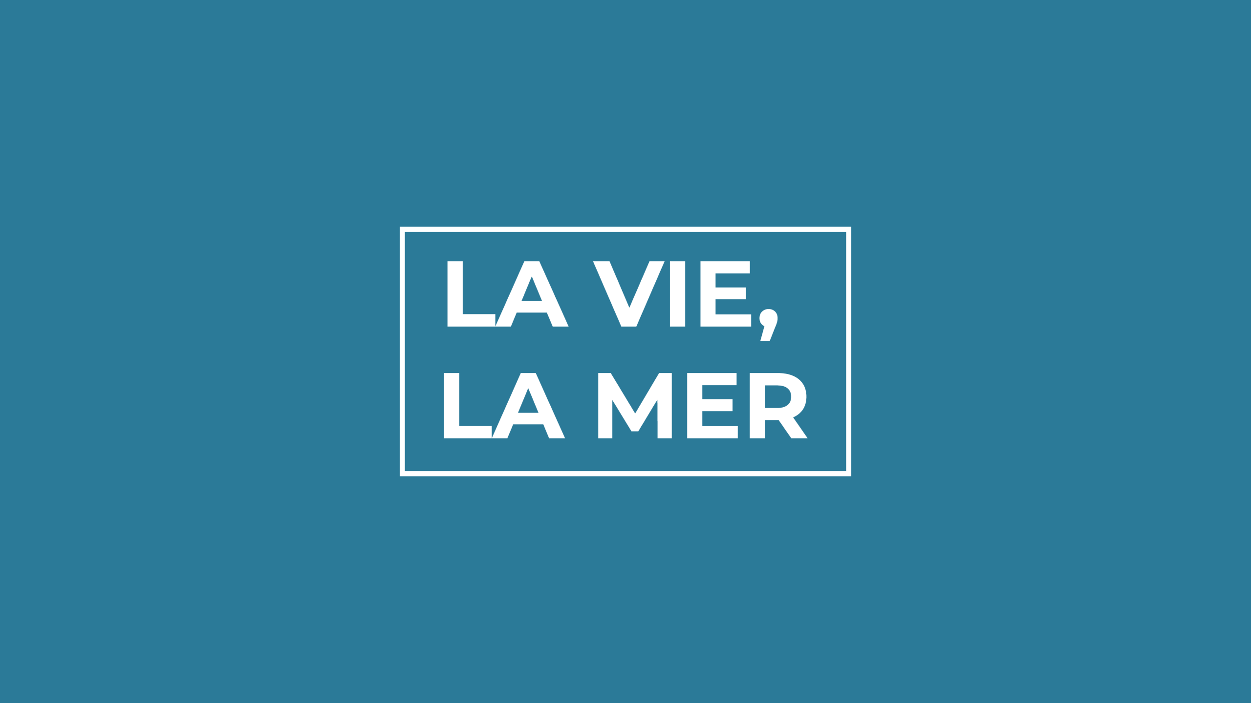 La Vie La Mer, la nouvelle émission du Cluster Maritime Français