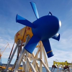 Photo de Profil de SABELLA