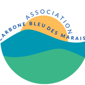 Photo de Profil de carbone-bleu-des-marais